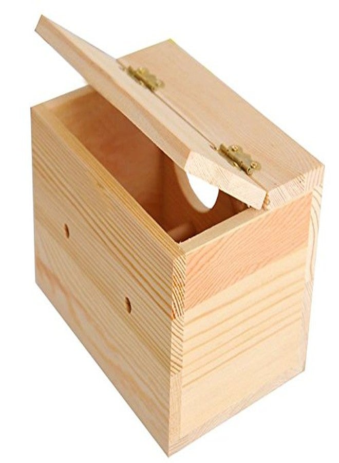 Sage Square Natural Wood Mountable Nest Cum Breeding Box with Perch Attached for Birds (9") - Image 5